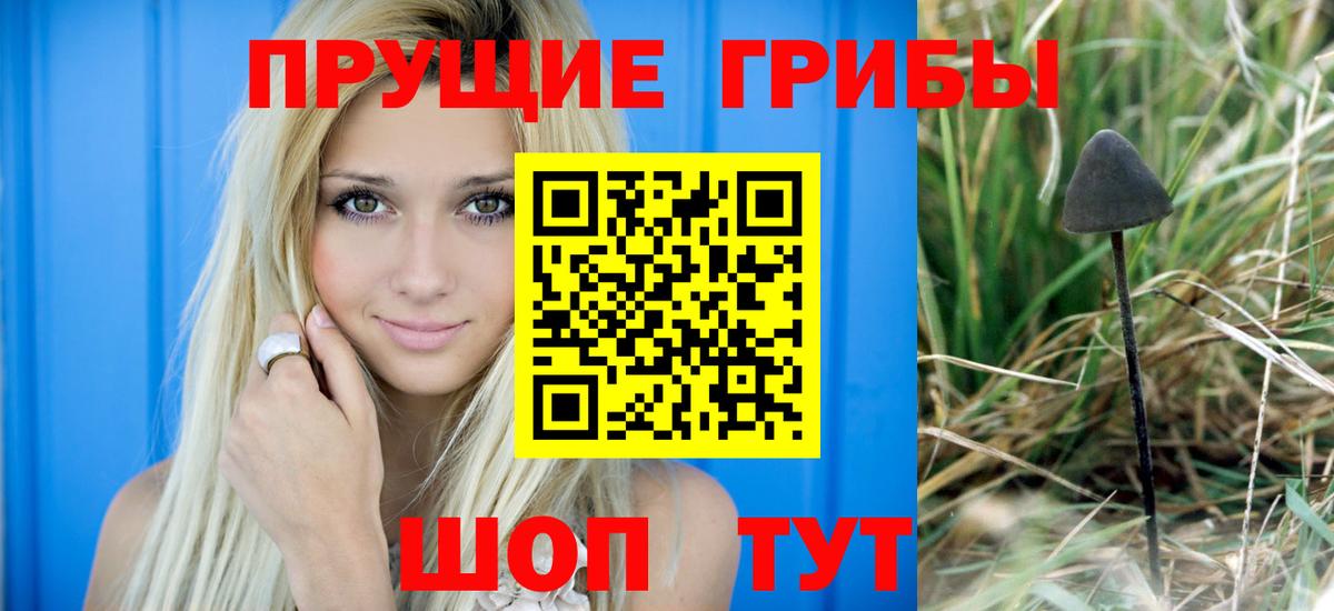 Галлюциногенные грибы Magic Shrooms Пенза