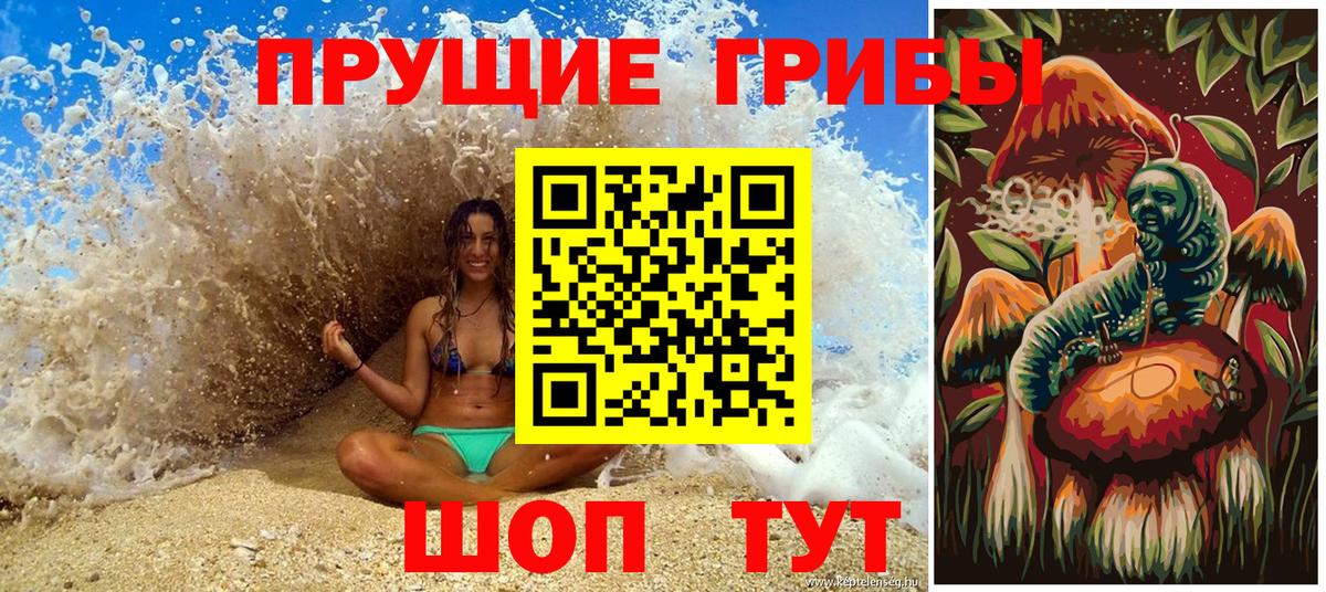 Пенза  Галлюциногенные грибы MAGIC MUSHROOMS  Вход с VPN 