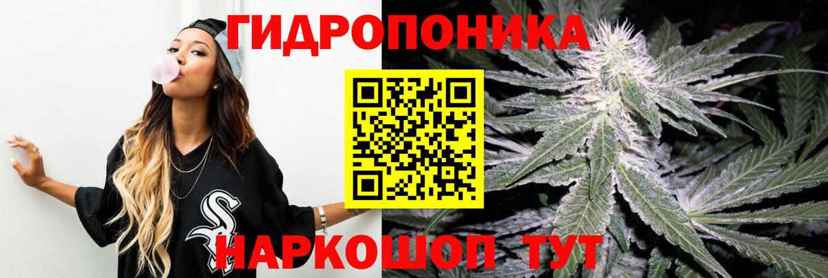 Бошки марихуана SATIVA & INDICA Пенза
